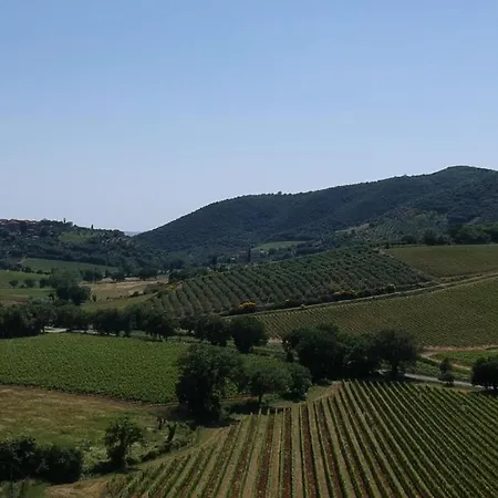 La Poderina Appartement